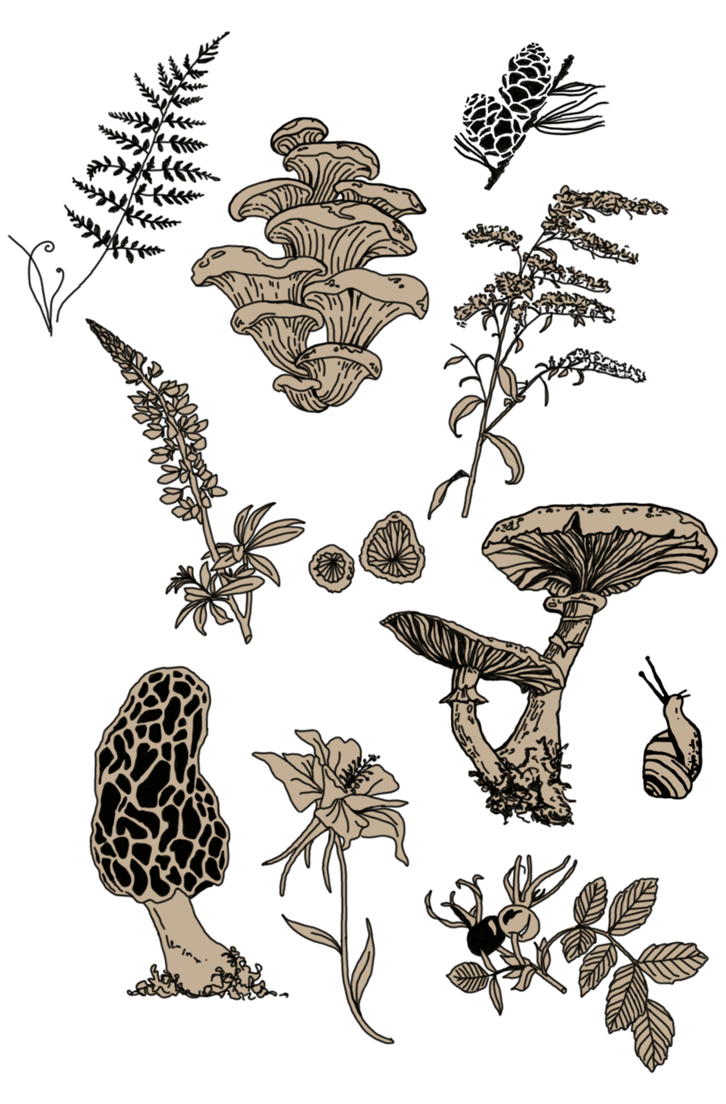 Forest and foliage print