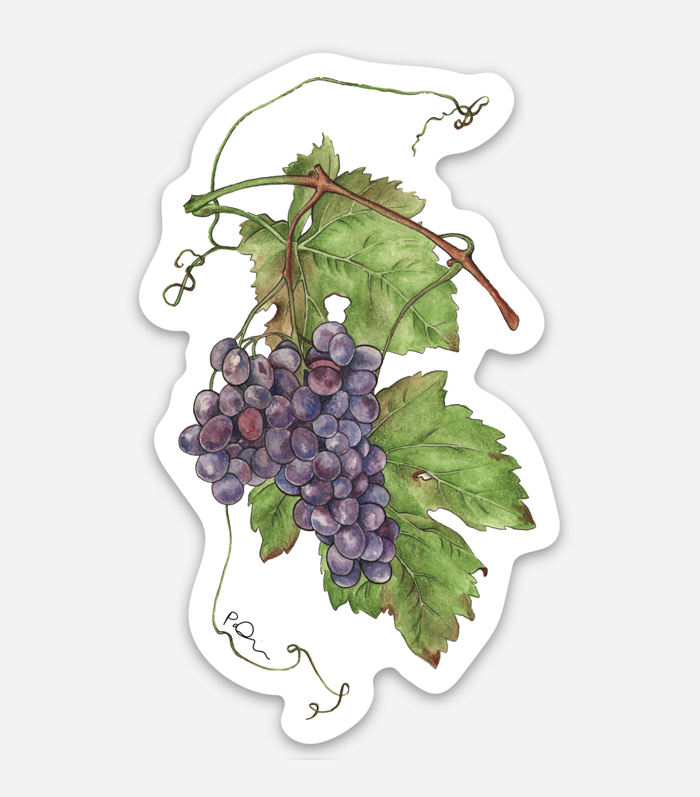 Vinyl farm market sticker