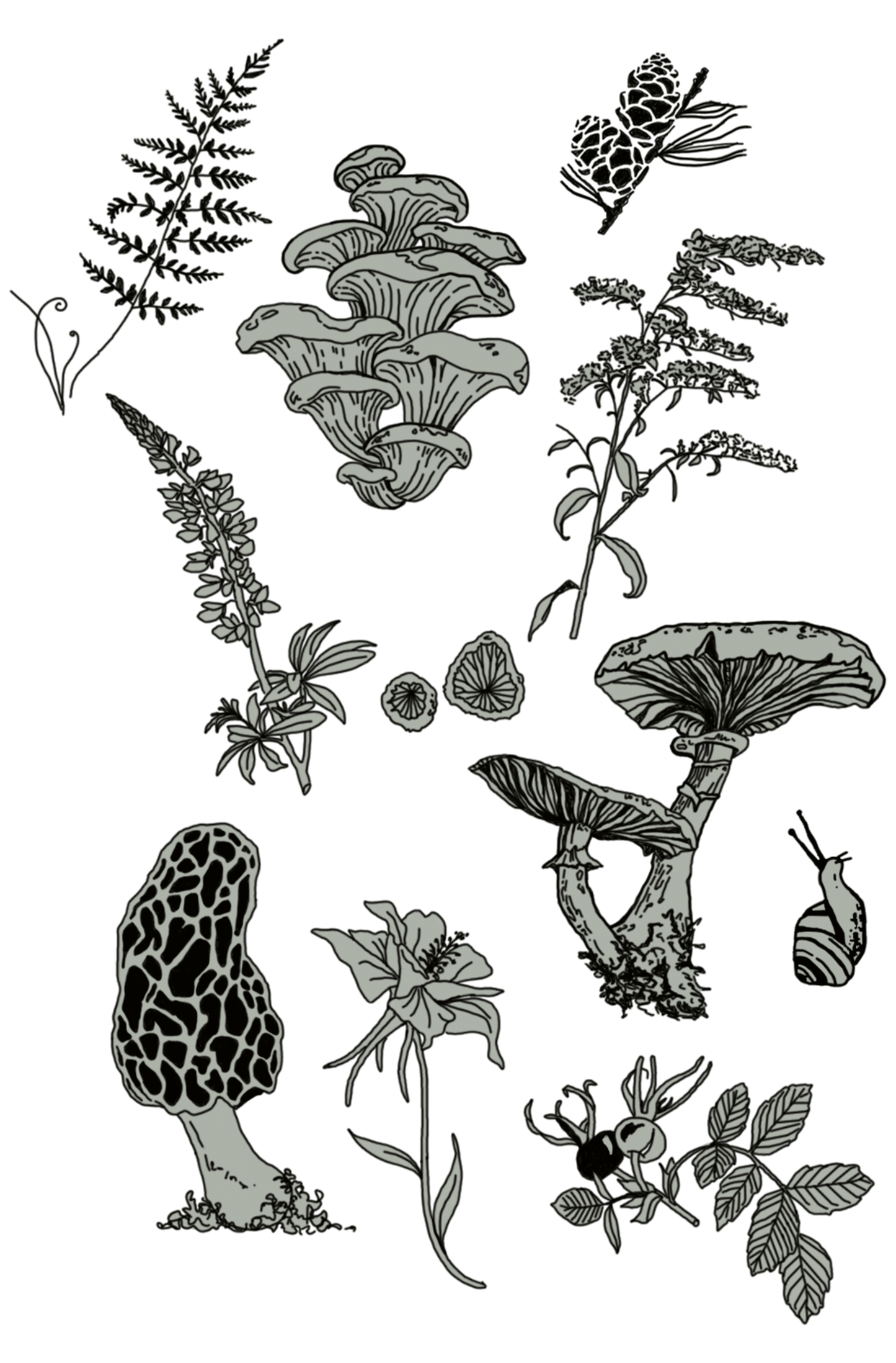 Forest and foliage print