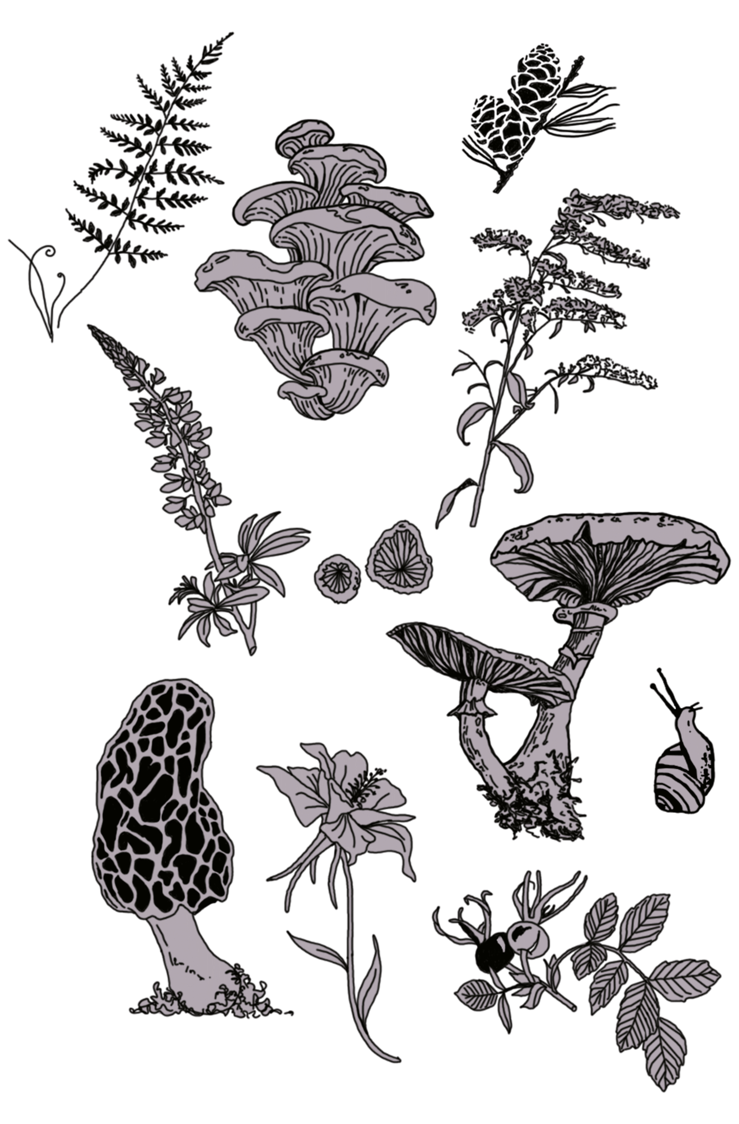 Forest and foliage print