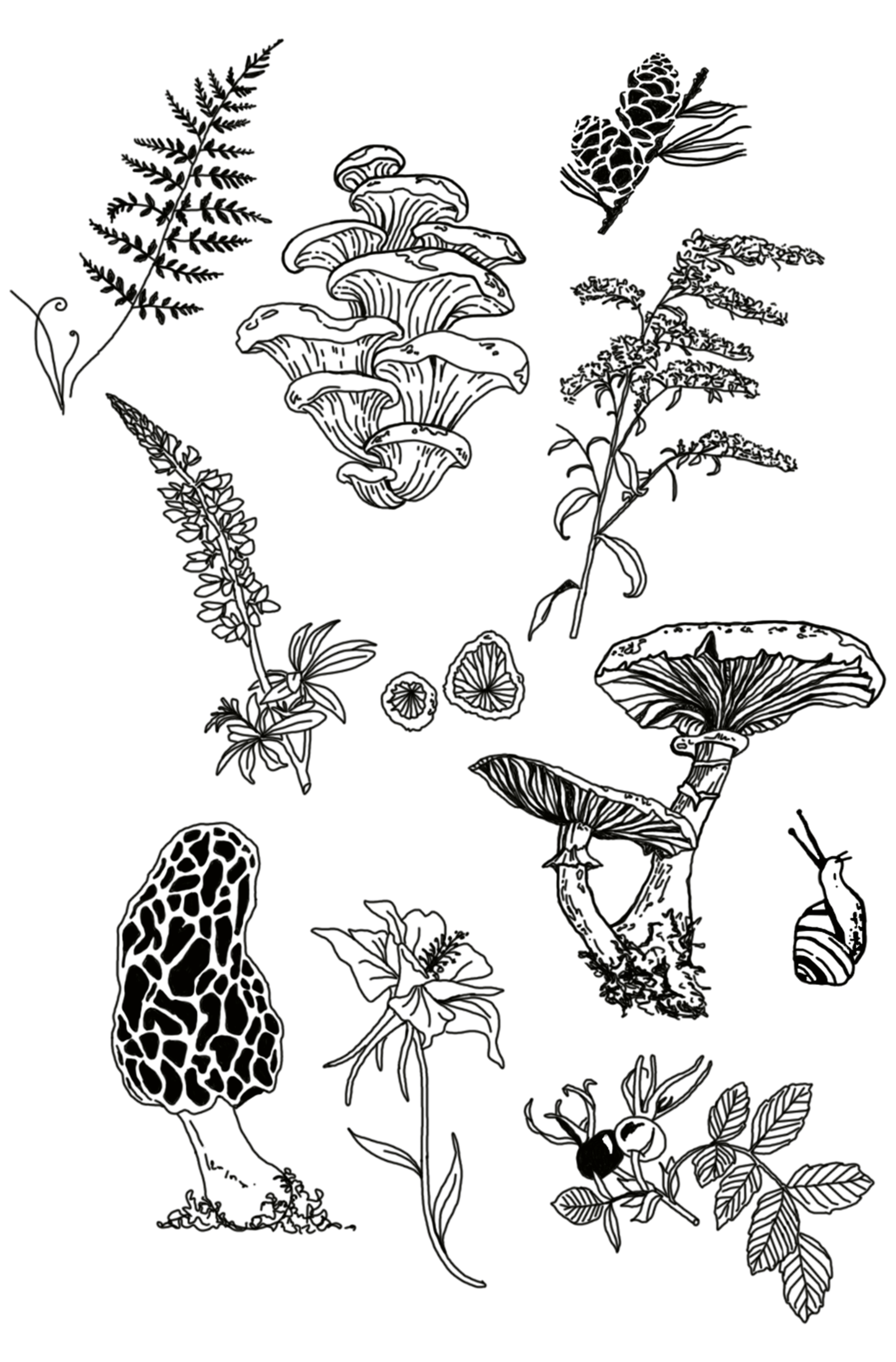Forest and foliage print