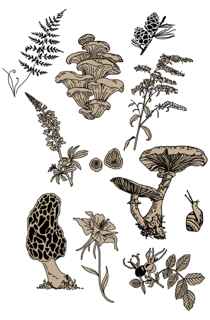 Forest and foliage print
