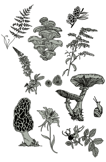 Forest and foliage print