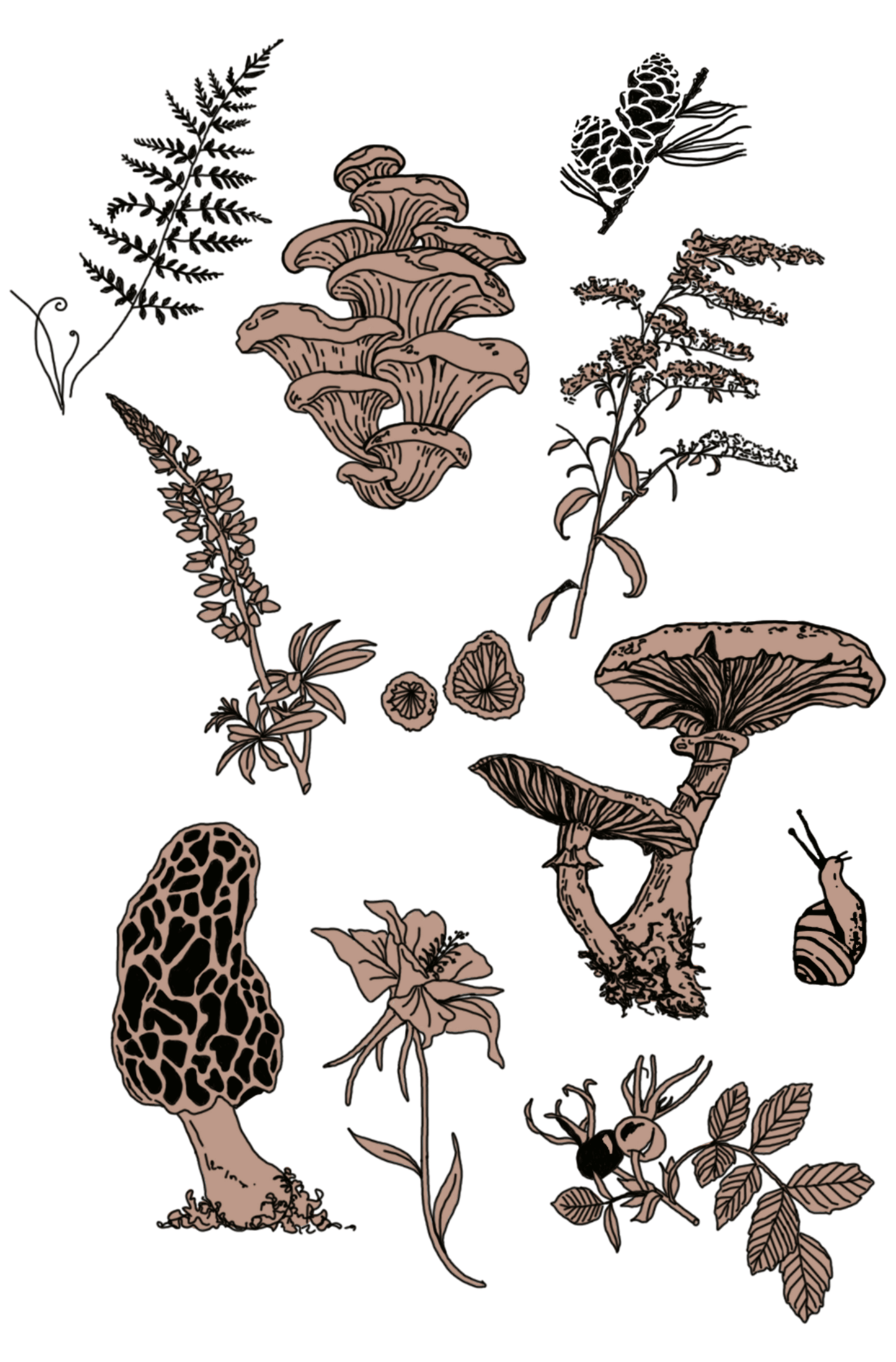 Forest and foliage print