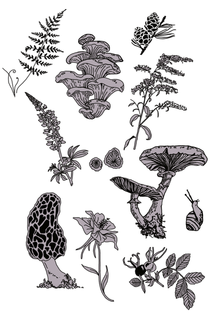 Forest and foliage print