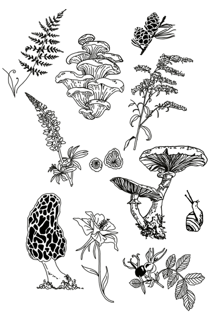 Forest and foliage print